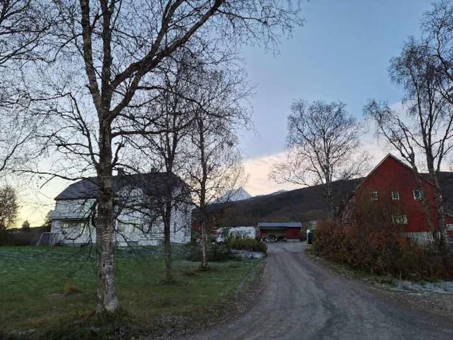 Farmroom With Sauna And Aurora Narvik Luaran gambar