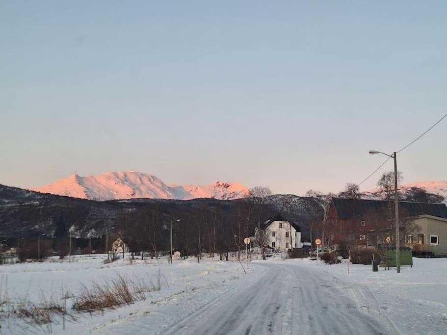 Farmroom With Sauna And Aurora Narvik Luaran gambar
