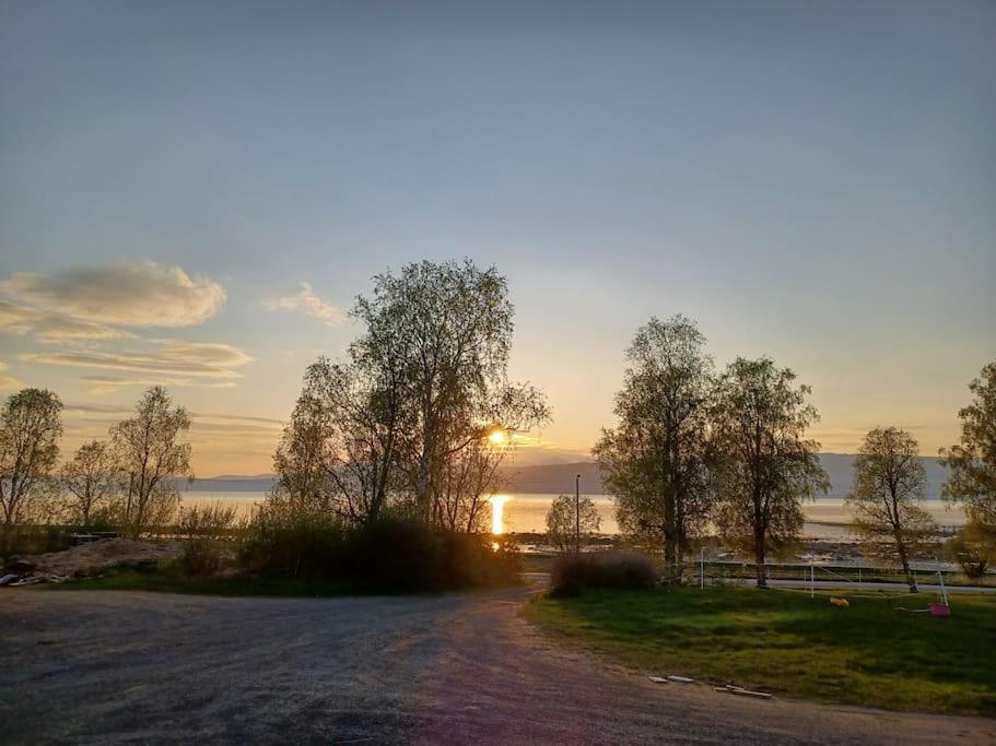 Farmroom With Sauna And Aurora Narvik Luaran gambar