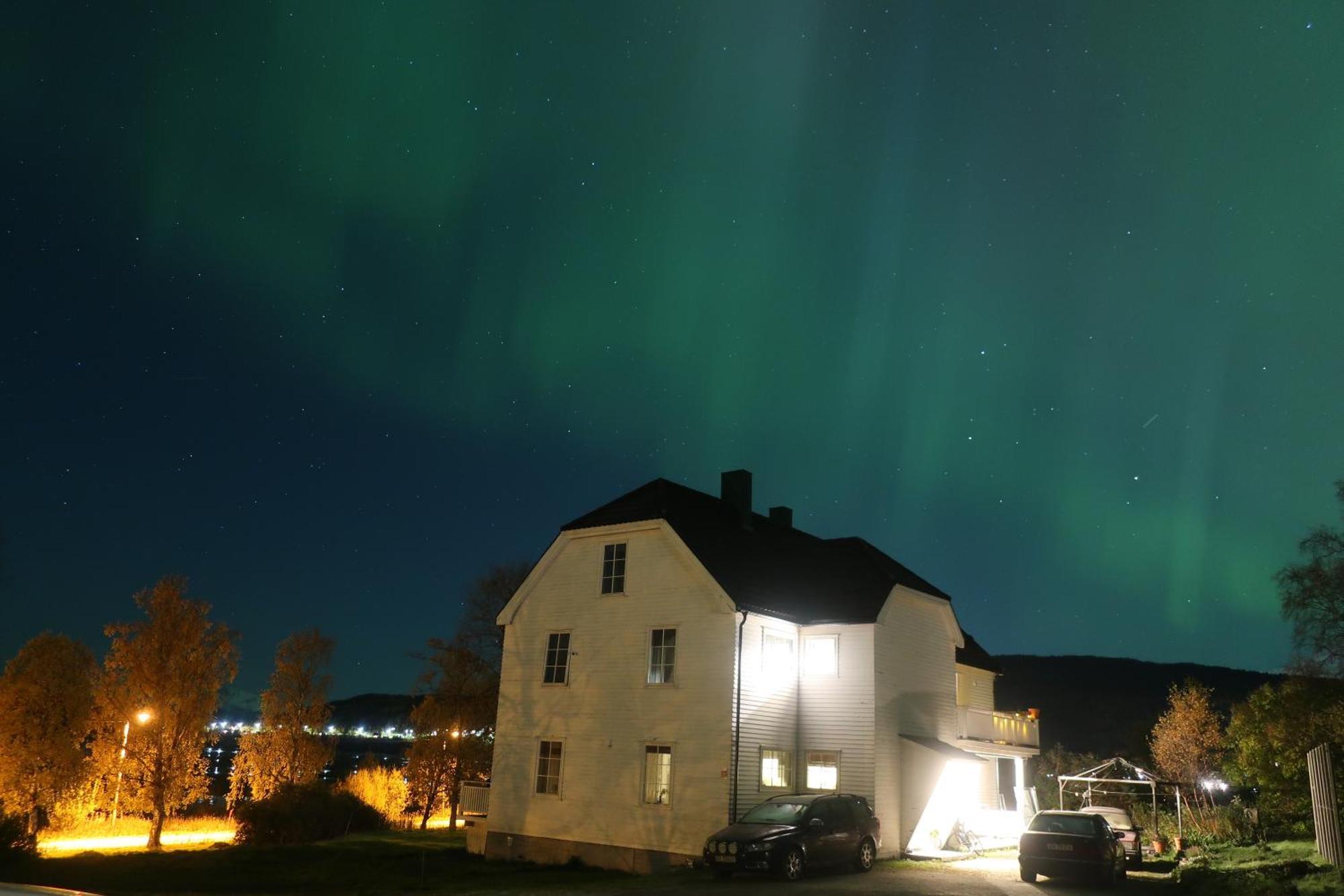 Farmroom With Sauna And Aurora Narvik Luaran gambar